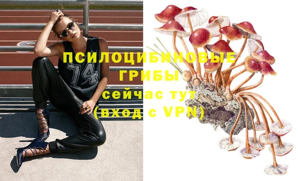 mdma Михайловка
