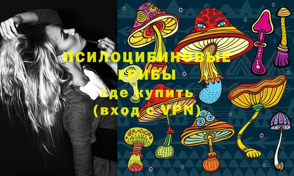 гидра Михайлов