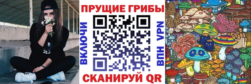 Купить  Лыткарино  Псилоцибиновые грибы ЛСД 